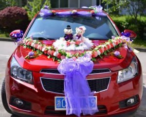 ماشین عروس با عروسک
