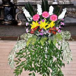 عکس های باغ  تالار آریا - شهریار