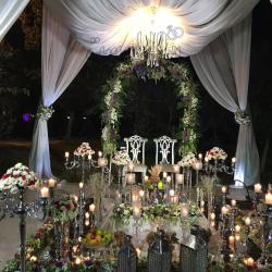 تصاویر باغ   پارسا