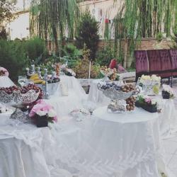  مجموعه عکس های باغ   ملودی