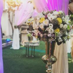 عکس های باغ   سمیعی