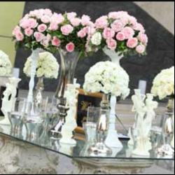 عکس های باغ   ملودی