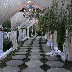  مجموعه عکس های تالار پذیرایی   قریشی