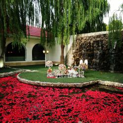  مجموعه عکس های تشریفات   عروسی لوکس نوبل