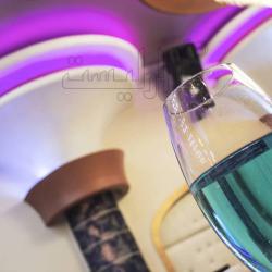 عکس تالار پذیرایی   دیپلمات